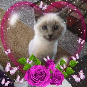 Meet your Posher, Janeena